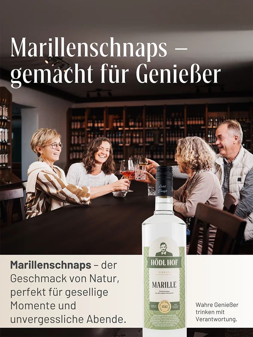 Hödl Hof Marille Schnaps | 38% Vol. | 1,0l