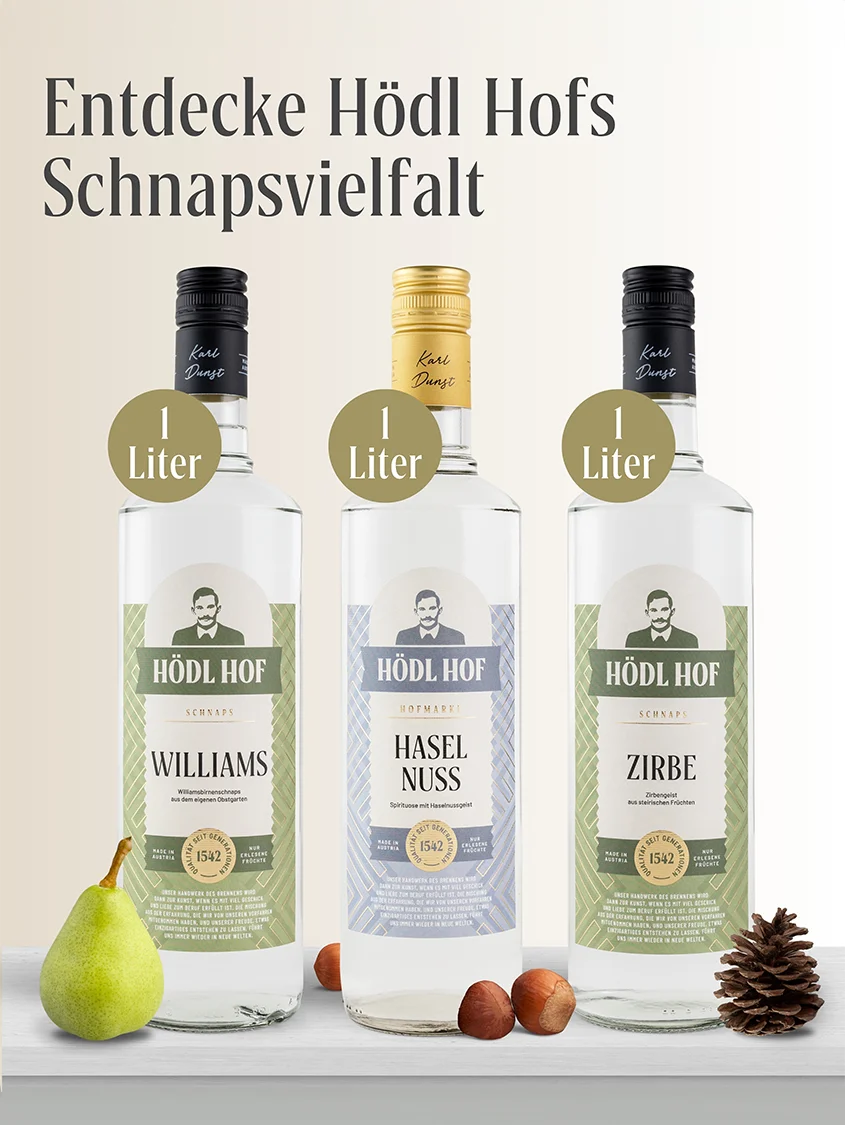 Hödl Hof Marille Schnaps | 38% Vol. | 1,0l