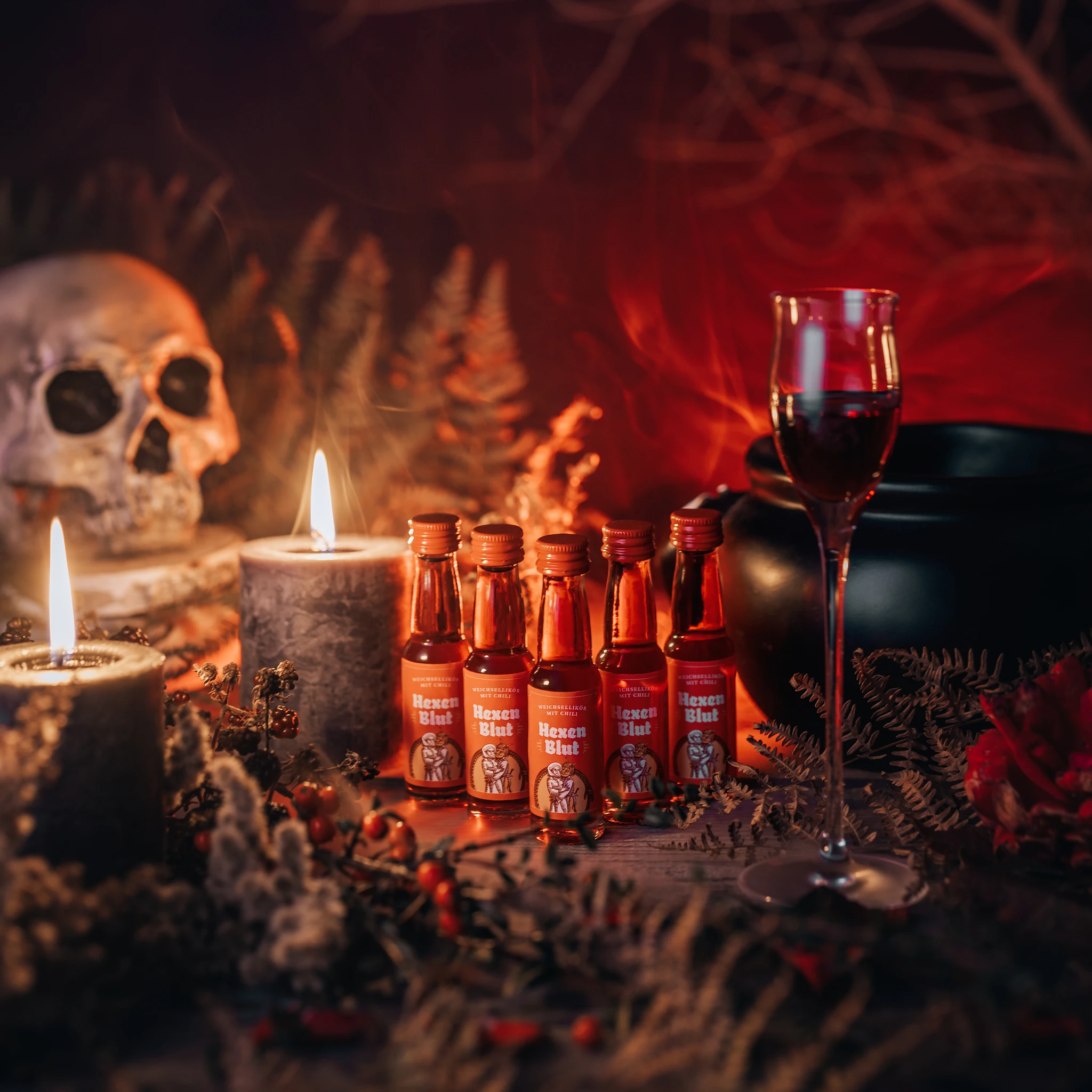 Hexenblut Weichsellikör mit Chili | 20% Vol. | 24x0,02l