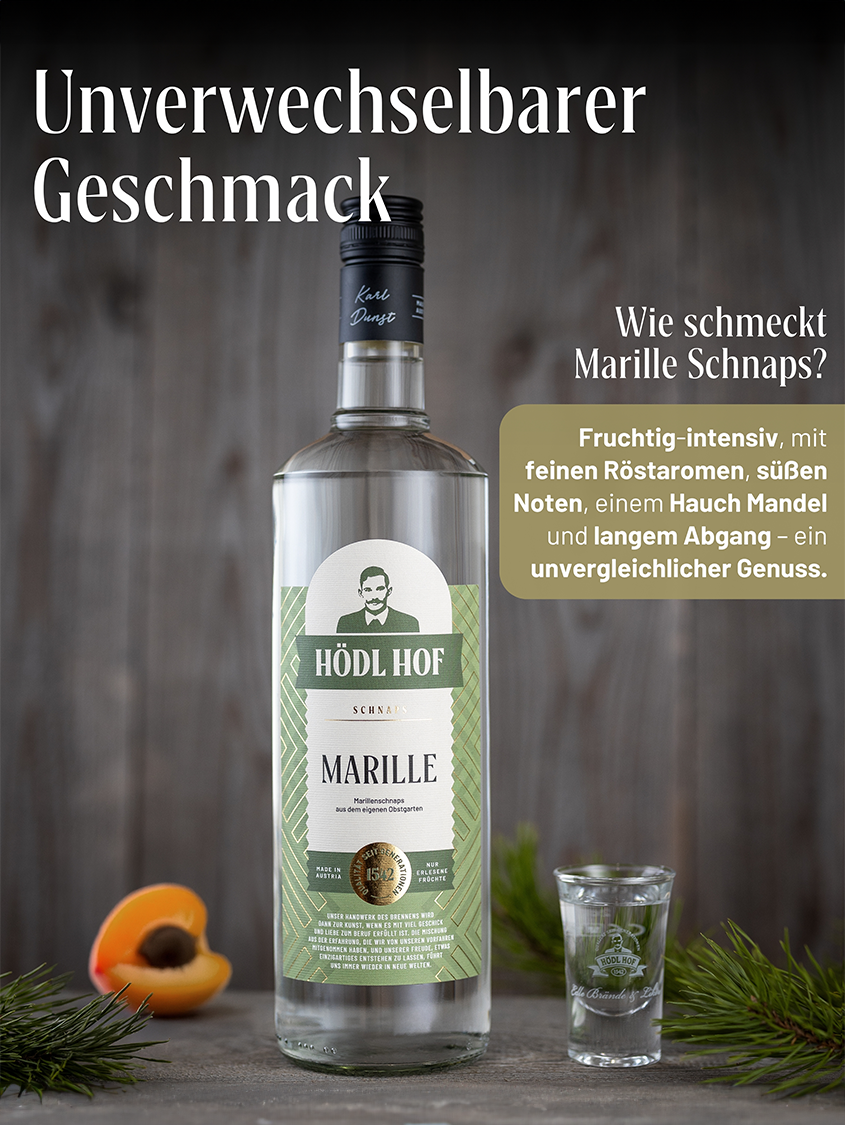 Hödl Hof Marille Schnaps | 38% Vol. | 1,0l