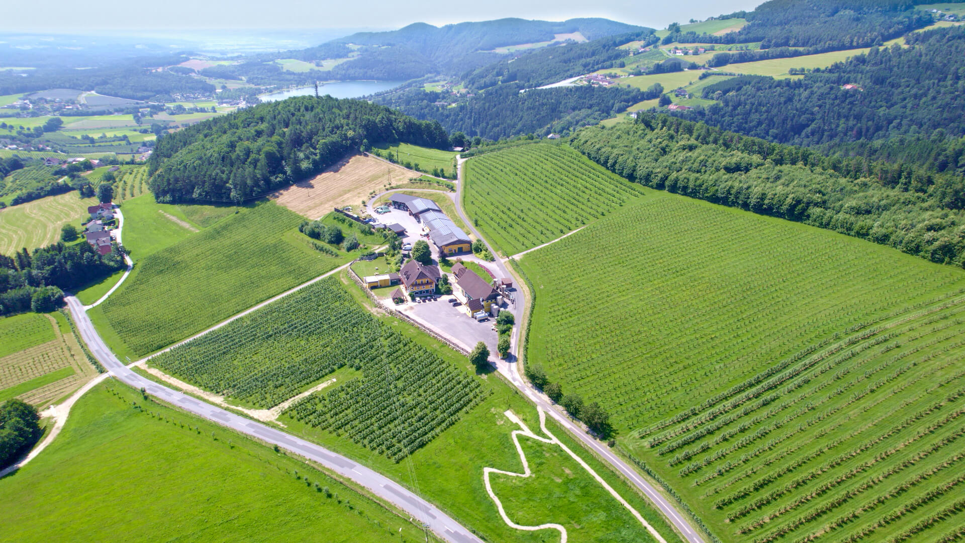 Hödl Hof mit eigenen Obstanlagen aus der Luft